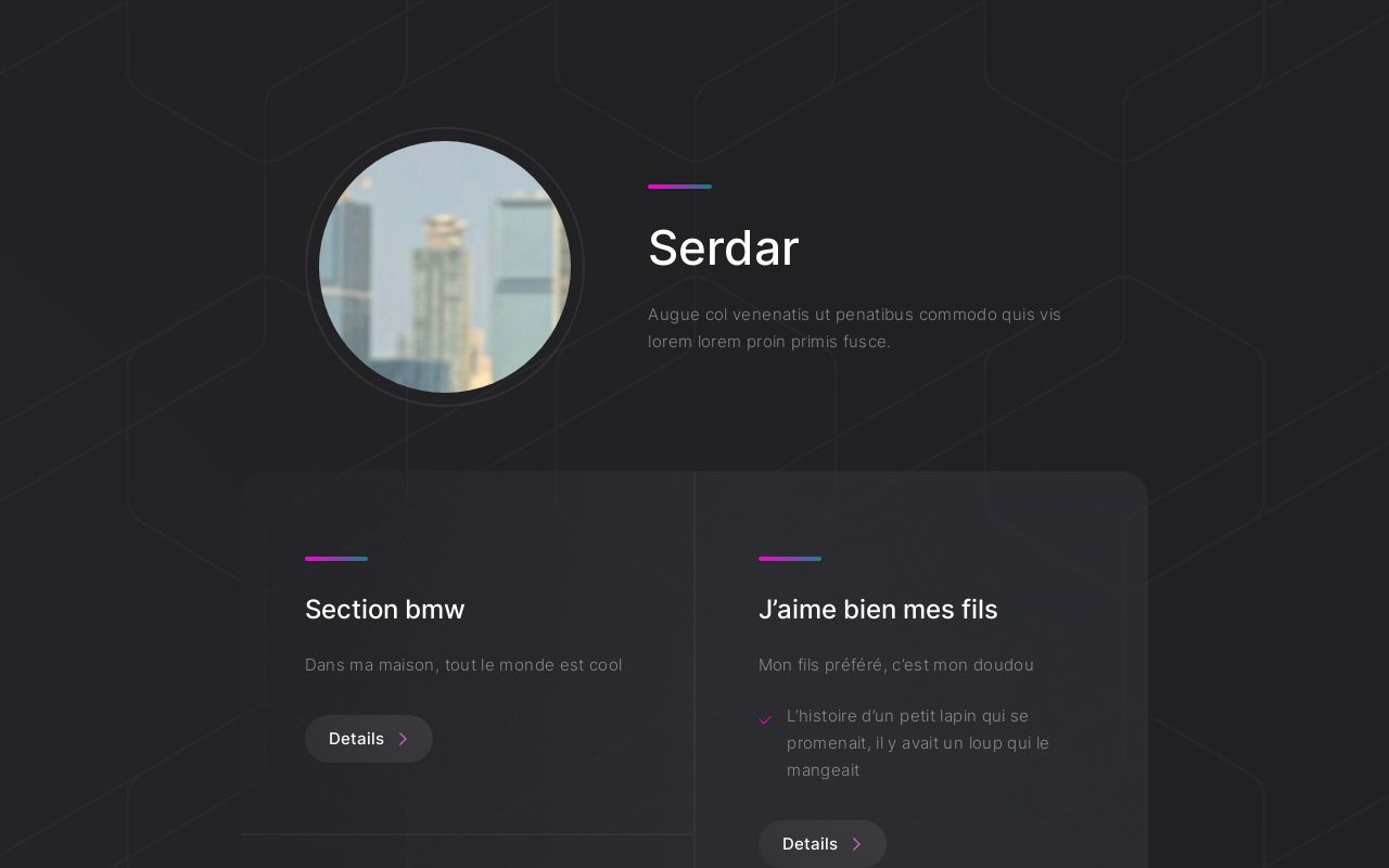 Carrd profile picture for @serdar